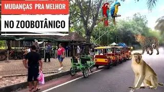 Onde sempre aconteçe e nada falam zoobotânico.