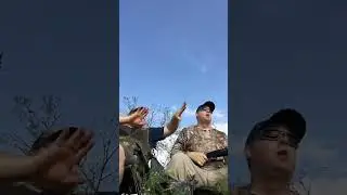Waiting on Doves