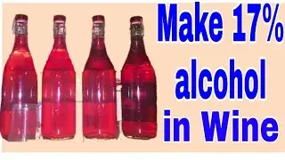 Make 17% Wine of Bael fruit & any fruits. Food and desi sharab recipe