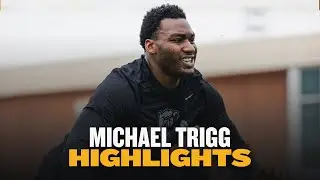 Baylor Football: Michael Trigg Highlights (National Signing Day 2024)
