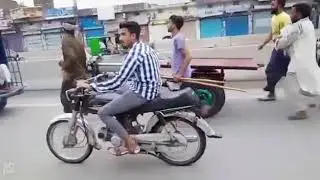donkey race lahore