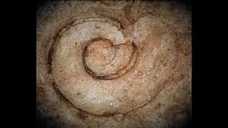 Niagara Cave: Adventure