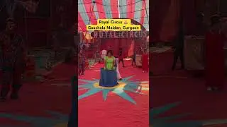 Royal Circus 🎪 Gaushala Maidan, Gurgaon