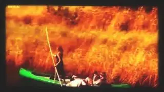 Documentary Wild Extreme Animal Attacks  HD Animals Documentary