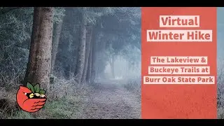 Burr Oak State Park's Lakeview & Buckeye Trails