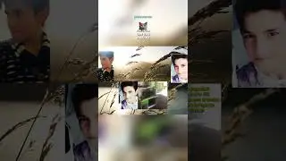 HAKAN METİN2 Y&Uuml;Z&Uuml;NDEN Mİ &Ouml;LD&Uuml;? | BEYGİR ANLATIYOR