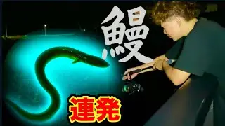 【驚愕】初挑戦ウナギ釣り…想像以上に釣れすぎた！2025.8