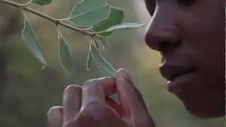 Connect With Trees to Align Your Heart with Mother Earth