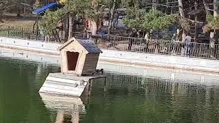 UW2-Одесса сегодня прогулка по парку Победы! Не далеко от курорта Аркадия. Подписывайтесь на канал!