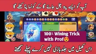 Today Dragons Vs Tiger Best Trick and Win / Big Win Dragon Vs Tigar trick / Win 3 Patti Gold |