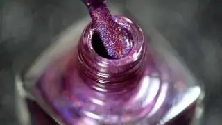 Swatch This!: Kings & Queens (ILNP)