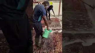 Professional cleaning for your carpets in Dubai⤵️