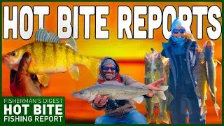 Detroit River Fishing Reports, Perch Reports, & More!!!