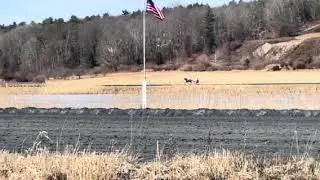 Solar Queen training with Trainer Rob Harmon at Big Z in NJ - 1.13.26 (Part 2)