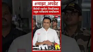 Rahul Narvekar on Opposition Leader : विरोधी पक्षनेता निवडीबाबत राहुल नार्वेकरांचं स्पष्टीकरण