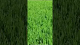#natural #song # music # youtube 😘