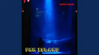 Happy Dolphin