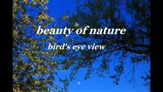 the beauty of nature from a bird's-eye view