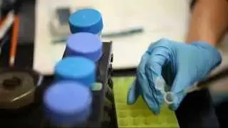 MRA Trailer