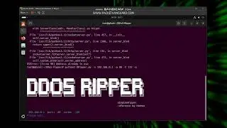 Introduction to DDoS Attacks Using DDoS Ripper | Educational Guide by Packet Vanguard
