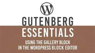 Add Image Gallery in WordPress Gutenberg Block Editor Gallery block
