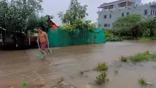 Catching eel, fish and crab on the street under the rain