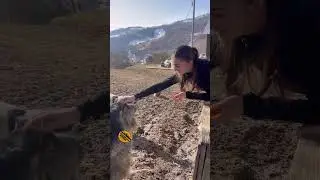 Le las pe fete la gospodărie 😂🙌