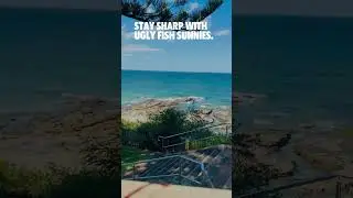 Stay Sharp With Ugly Fish Women's Sunnies
