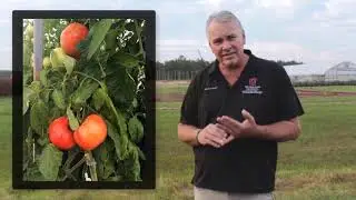 Specialty Crop Presentation for FSR