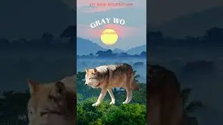 🐐 Incredible Mountain Animals You Need to See!| Fun Asventure for Kids - Dy Kids Adventure #animals