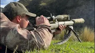 Shooting Feral Pigs | 308 | Hunting NZ