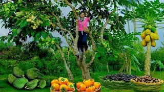 Harvest To Sell: Green Plums, Soursop, Mulberries, Tamarind, Papaya, Persimmons, Coffee, Garden,Farm