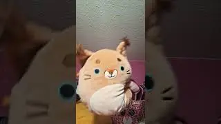 idk #animalcrossing #funny #memes #duet #amnewbutnottheleast #cute #cat #fnaf #fnaf #pug #christmas