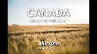 Canadian Prairie Ag Forecast - February 17th, 2020