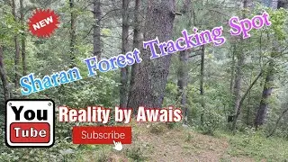Sharan Forest Best Tracking Spot|Travel Vlog