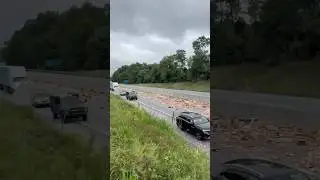 Highway covered in hot dogs