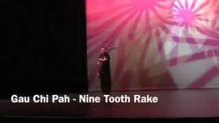 Nine Tooth Rake - Gau Chi Pah - Choy Li Fut
