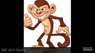 Monkey Project (MONK) Crypto problems - lost coins - wallet problems