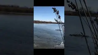 &Kappa;&upsilon;&nu;ή&gamma;&iota; &sigma;&tau;&omicron;&nu; &Alpha;&mu;&beta;&rho;&alpha;&kappa;&iota;&kappa;ό!