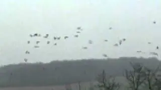 DSCN0102