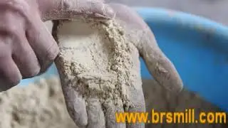 BSP ginger powder pulverizer making ginger grinder mill machine