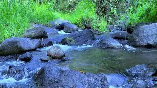 Soft Water Sounds for Stress Free Focus