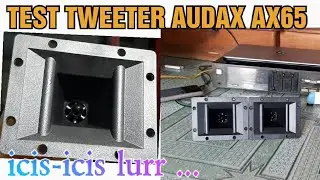 TEST TWEETER AUDAX AX65 icis-icis lurr ... #audaxax65 #audax #tweeteraudax