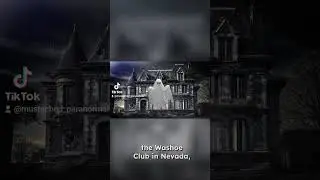 Shadow People, Spirit or Alien?