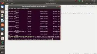 Variant calling pipeline in Shiny R using docker image