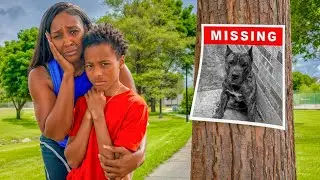 OUR DOG WENT MISSING...