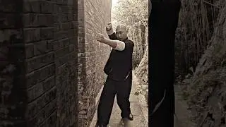 MOST POWERFUL FIGHTING SKILLS | IP MAN WINGCHUN MARTIAL ARTS #wingchun #martialarts #kickboxing