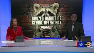 Ashland business recalls raccoon encounter long before drunken break-in