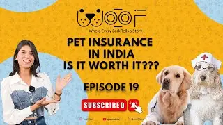 Pet Insurance in India: Is it worth it? || #Woof Episode-19