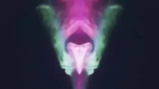 Lucid Lynx - Motions (Official Video)